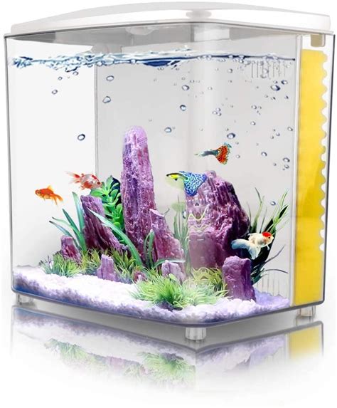 The 20 Best Fish Tanks for Beginners .